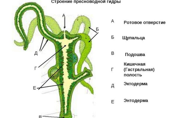 Ссылка на кракен в браузере