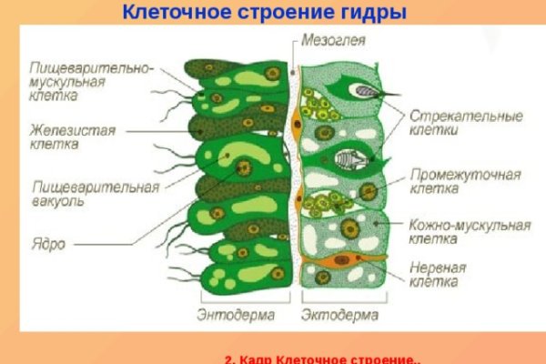 Ссылки в тор