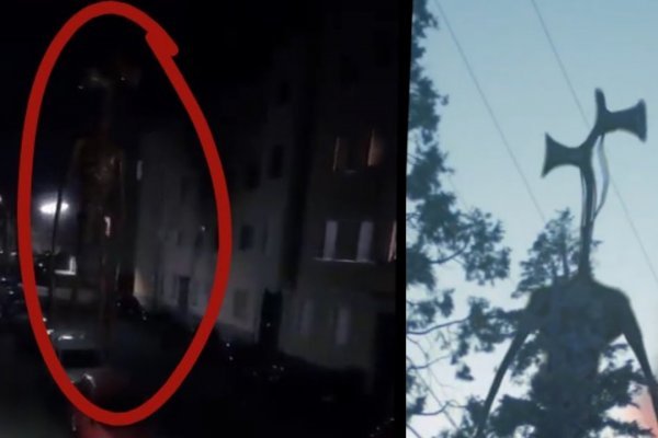 Ссылка в магазин на кракен