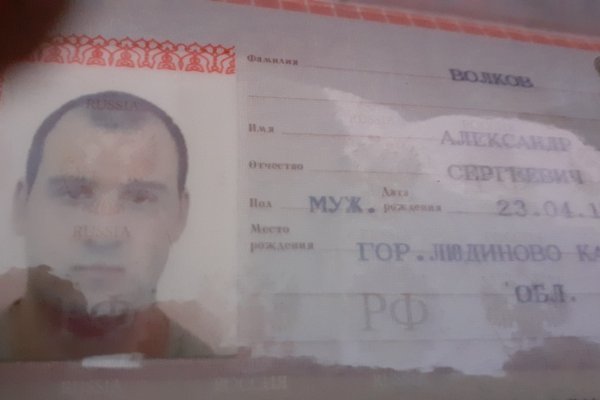 Кракен даркнет текст