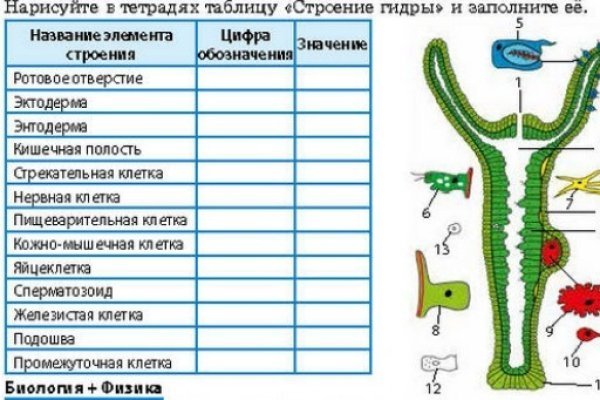 Что такое кракен маркетплейс