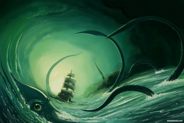 Kraken 19 at
