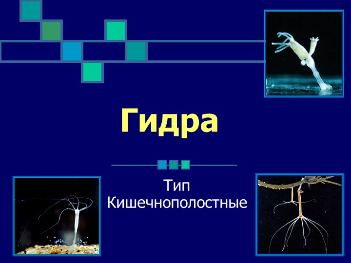 Кракен это наркота