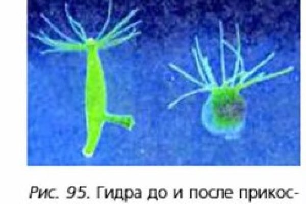 Кракен сайт закладок