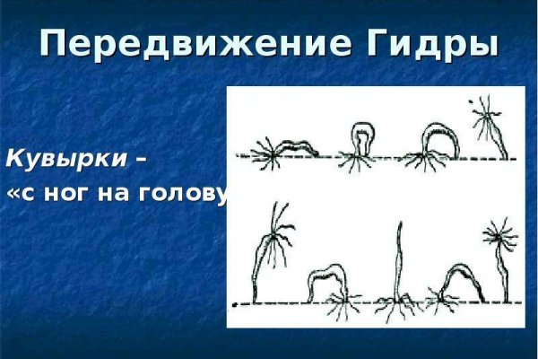 Кракен ссылка германия
