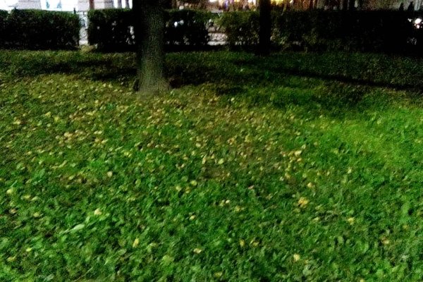 Рабочая ссылка на кракен в торе