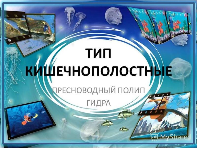 Сайты с наркотиками